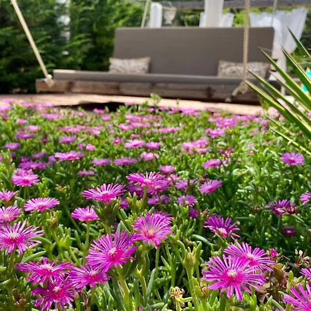 Garden View Studio *