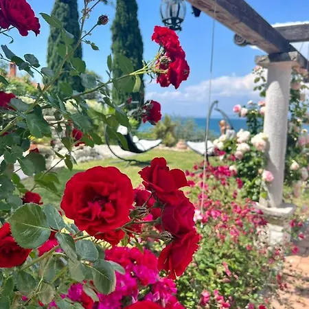 Daire Garden View Studio *