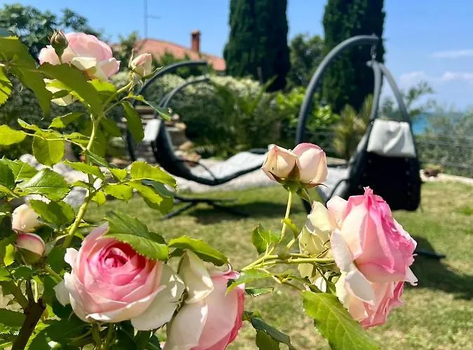 Garden View Studio 公寓 科佩尔