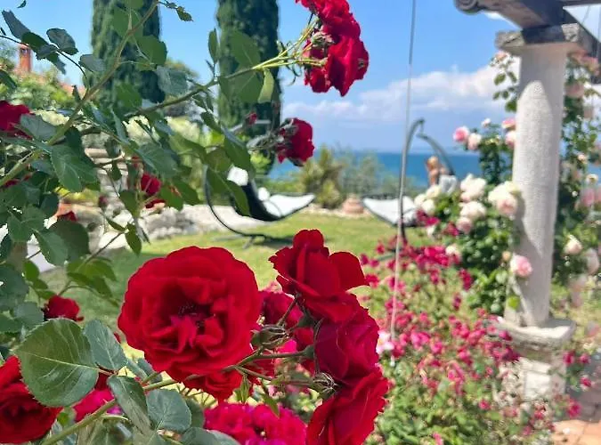 公寓 Garden View Studio *