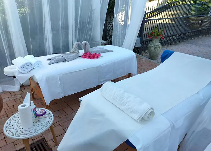 Garden View Studio * 科佩尔